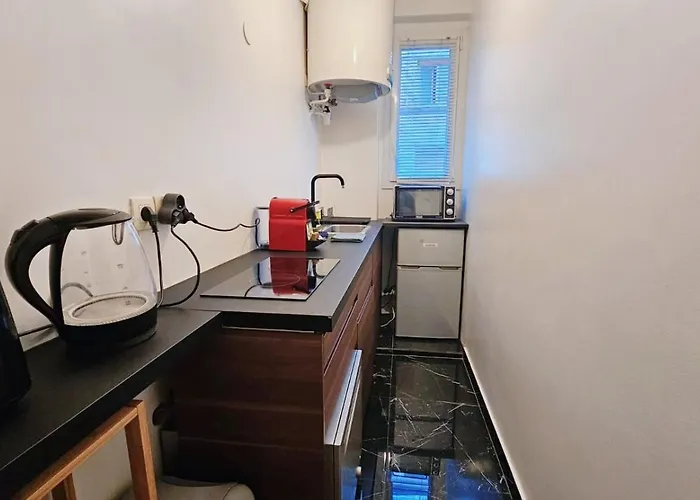 Neuf Quartier Tour Eiffel, Invalides Et Trocadero דירה